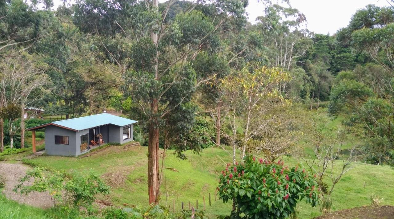 Olingo Monteverde Dış mekan fotoğraf
